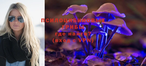 бошки Балахна
