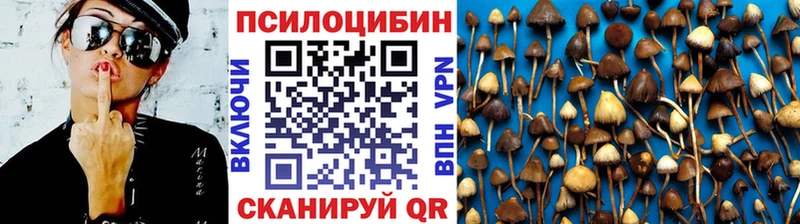 Галлюциногенные грибы мицелий  Купить где  Демидов 